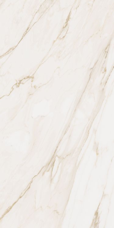 Omnia Calacatta Matte 24 x 48